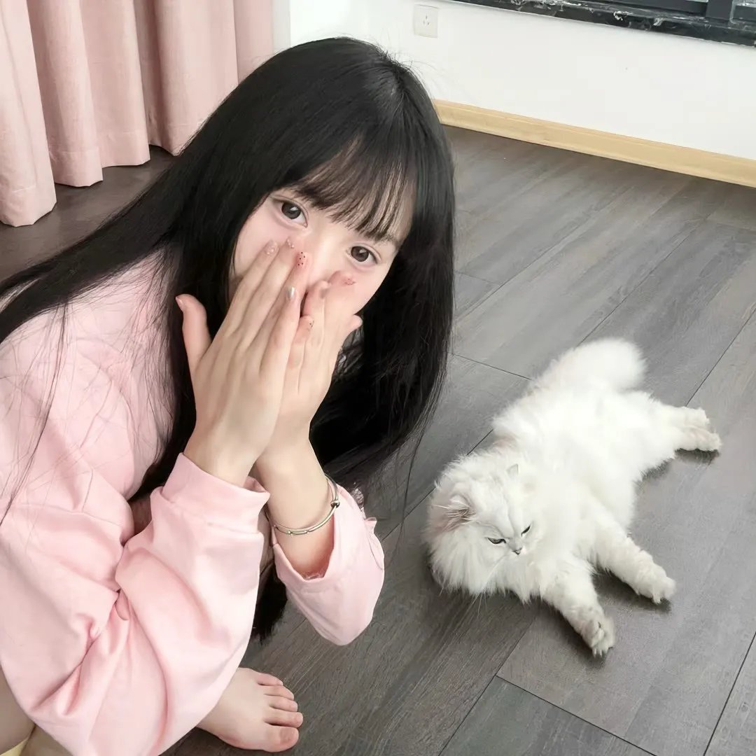 床战四方十规则 在线观看